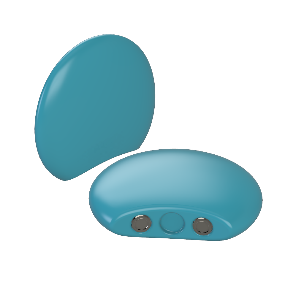 Circular Magnetic Ears for Personal Hat