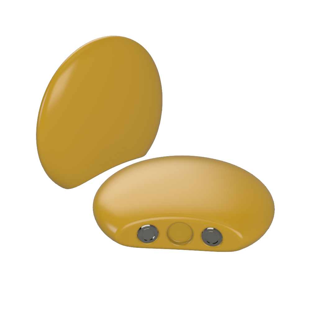 Circular Magnetic Ears for Personal Hat